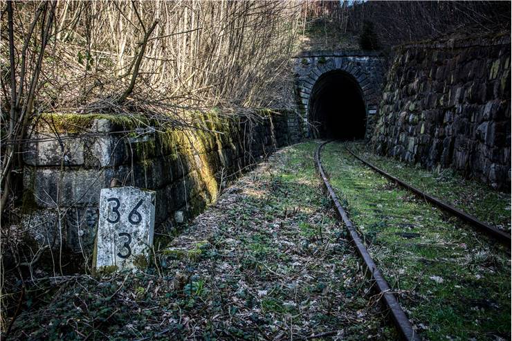 Railway Tunnel Nature