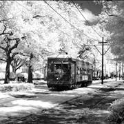 Trams