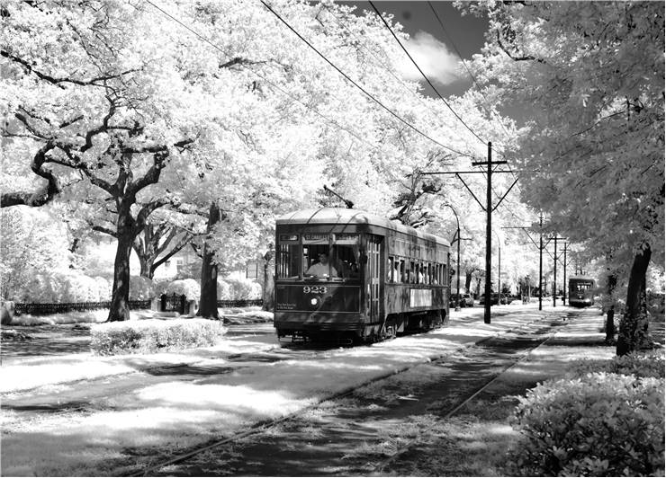 Trams